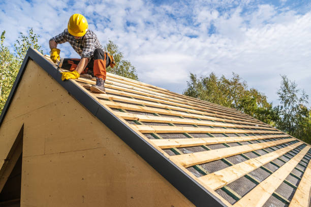 Roof Gutter Cleaning in Centreville, AL